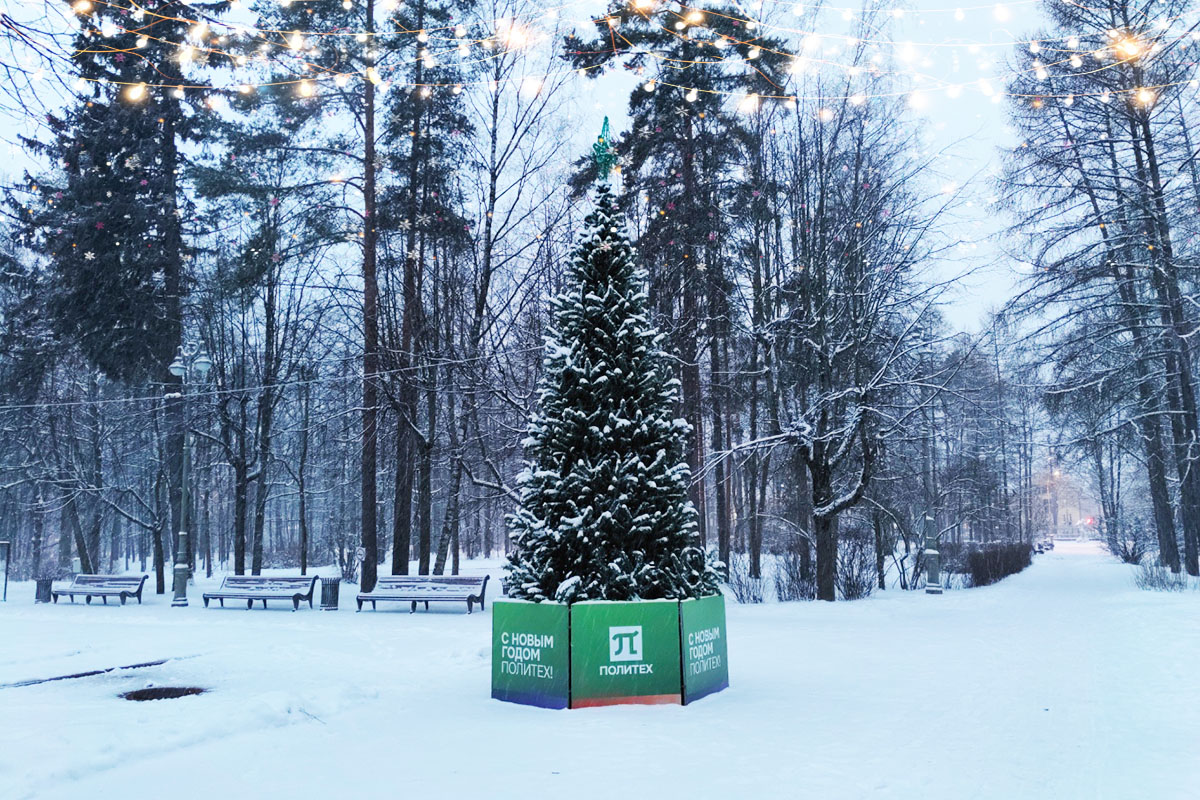 С Новым 2025 годом!